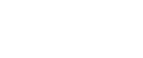 Nexus Power logo